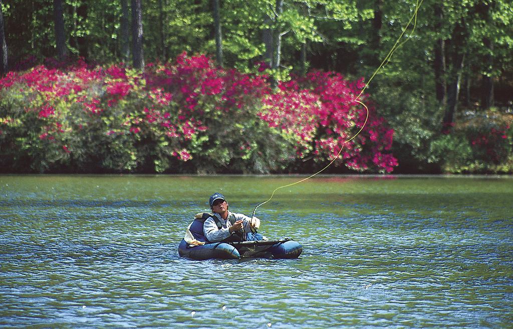 Callaway Resort & Gardens باين ماونتن المظهر الخارجي الصورة