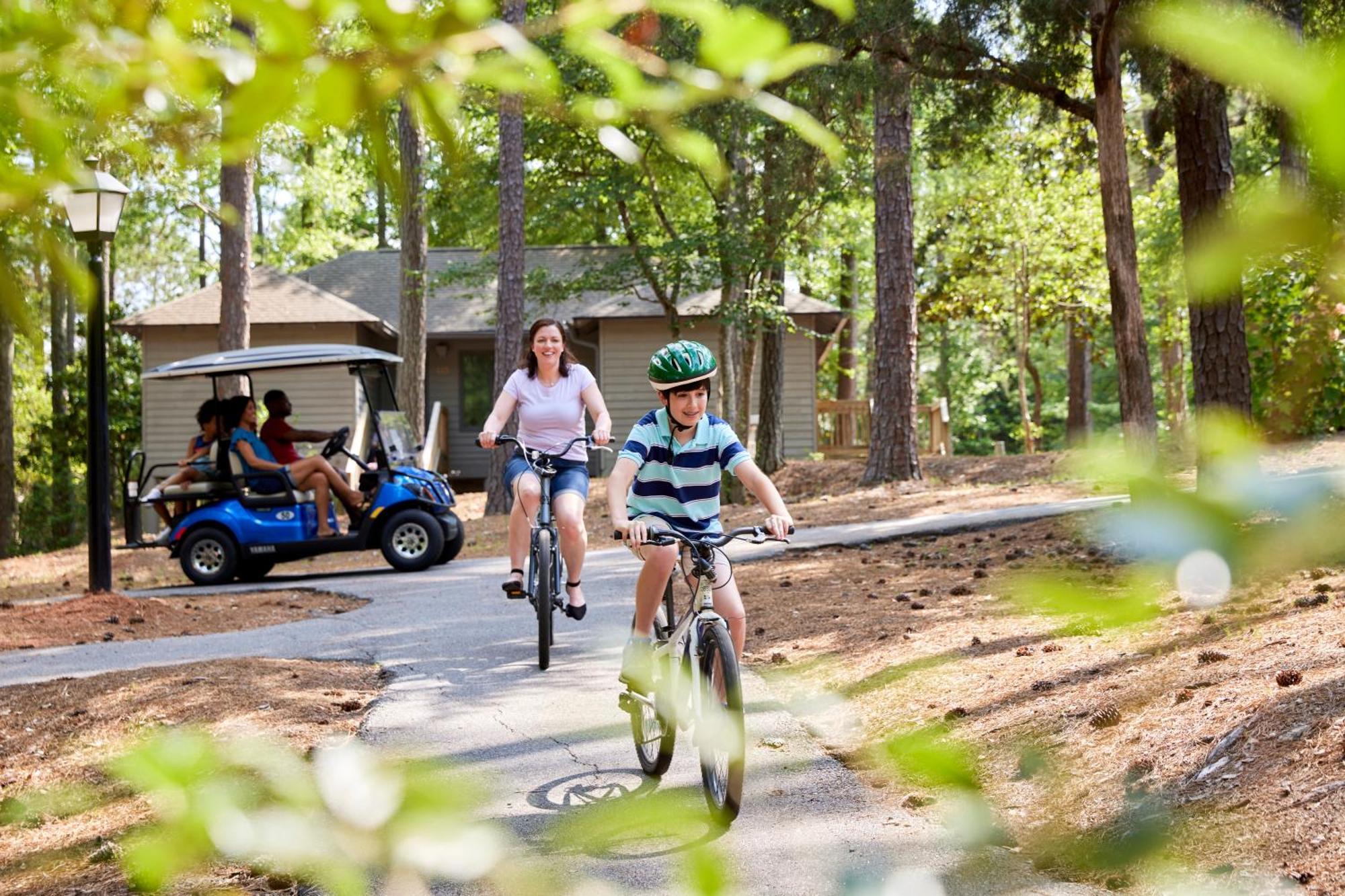 Callaway Resort & Gardens باين ماونتن المظهر الخارجي الصورة
